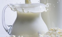 Молочная сыворотка — полезные свойства. Молочная сыворотка для волос и кожи